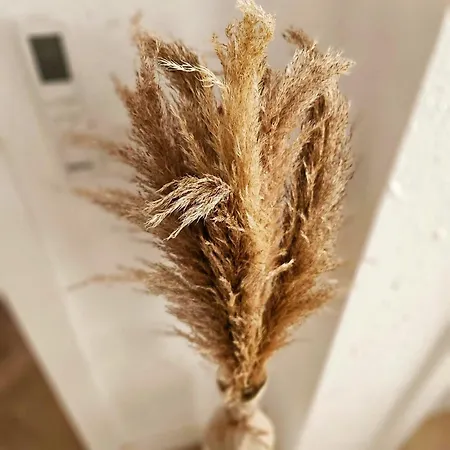 Casa Del Mar アパート